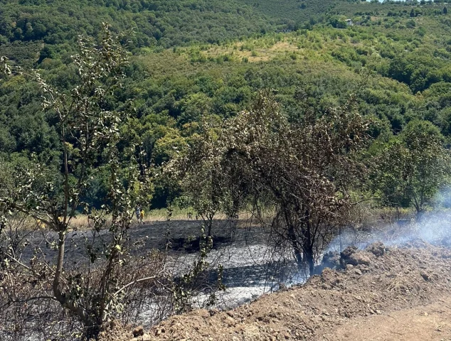 Samsun'da Fındık Bahçesindeki Yangın Hızla Kontrol Altına Alındı