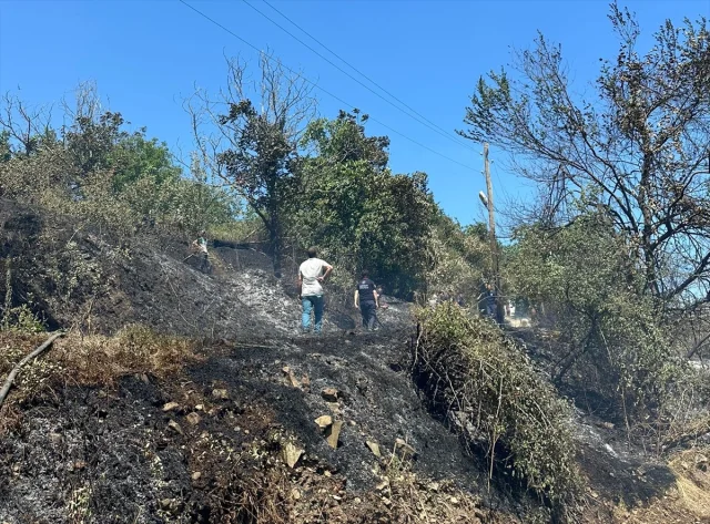 Samsun'da Fındık Bahçesindeki Yangın Hızla Kontrol Altına Alındı