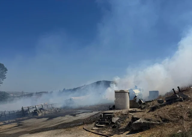 Çatalca'da İki Ayrı Noktada Yangın Panik Yarattı