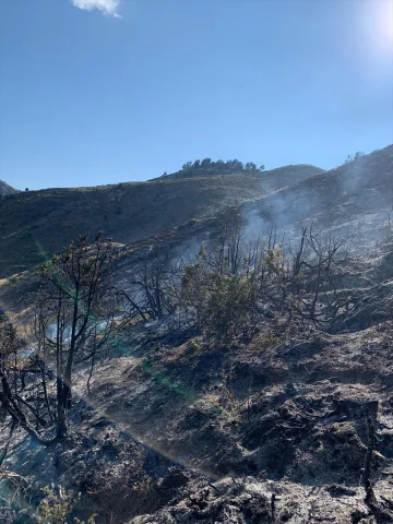 Erzurum'da Orman Yangını Korkuttu: Hızlı Müdahale ile Kontro...