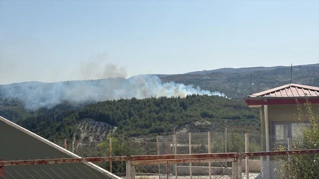Hatay'da Yangın Alarmı: Yayladağı'nda Alevler Yükseliyor