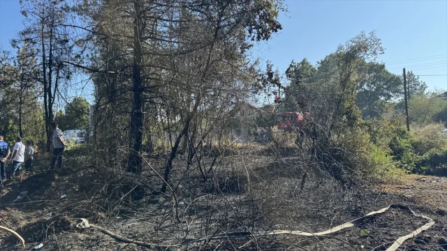 Sakarya'da Çıkan Orman Yangını Hızla Kontrol Altına Alındı