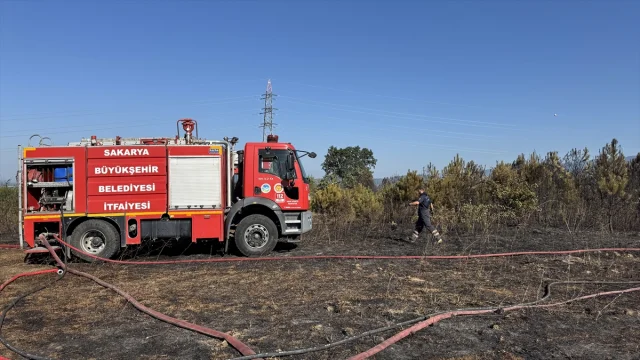 Sakarya'da Çıkan Orman Yangını Hızla Kontrol Altına Alındı