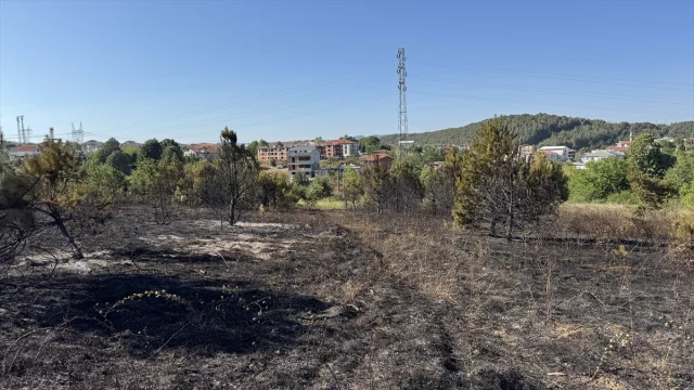 Sakarya'da Çıkan Orman Yangını Hızla Kontrol Altına Alındı