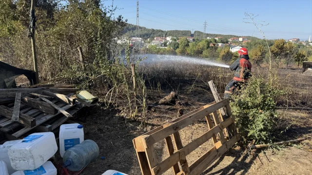 Sakarya'da Çıkan Orman Yangını Hızla Kontrol Altına Alındı