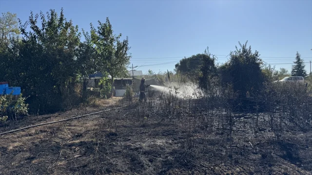 Sakarya'da Çıkan Orman Yangını Hızla Kontrol Altına Alındı