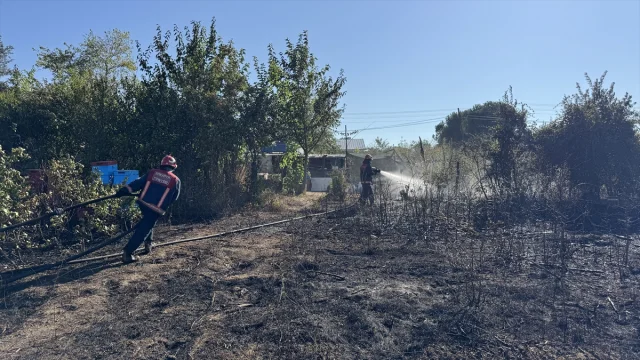 Sakarya'da Çıkan Orman Yangını Hızla Kontrol Altına Alındı