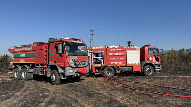 Sakarya'da Çıkan Orman Yangını Hızla Kontrol Altına Alındı