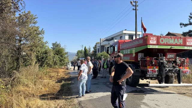 Sakarya'da Çıkan Orman Yangını Hızla Kontrol Altına Alındı