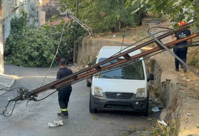 Beyoğlu'nda Devrilen Ağaçlar Park Halindeki Araçlara Zarar Verdi