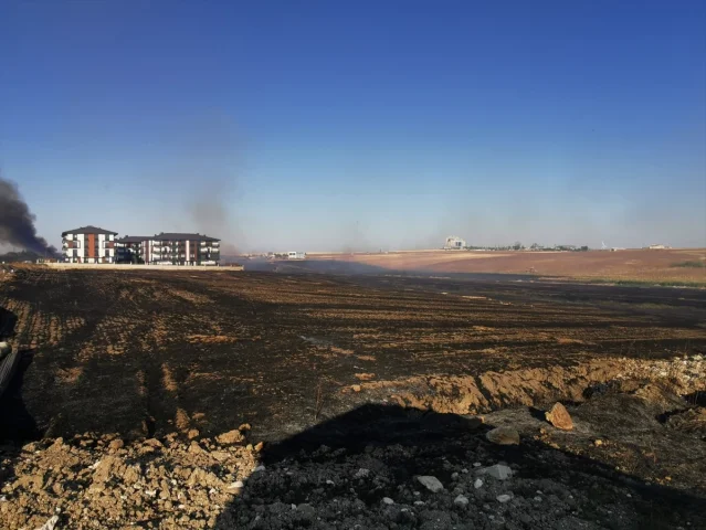 Kırklareli'nde Çıkan Anız Yangını Hızla Kontrol Altına Alındı