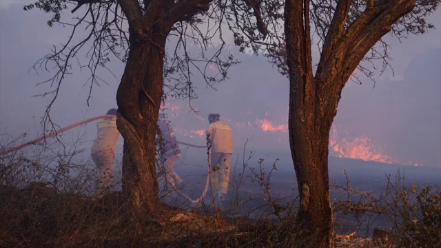 Çanakkale'de Büyük Orman Yangınına Müdahale Devam Ediyor
