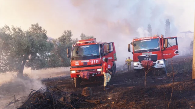 Çanakkale'de Büyük Orman Yangınına Müdahale Devam Ediyor