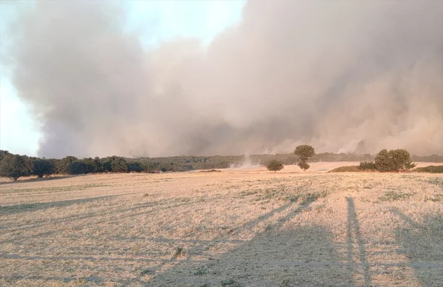 Edirne'de Orman Yangını Söndürme Çalışmaları Sürüyor