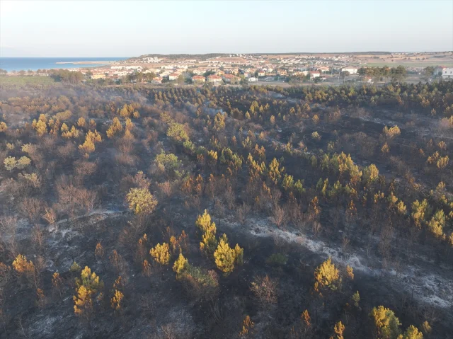 Edirne'deki Orman Yangını Kazanılan Mücadeleyle Kontrol Altına Alındı