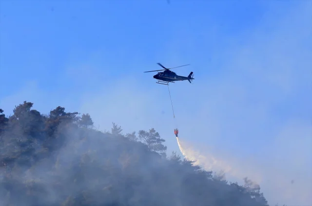 Manisa'da Soma ve Alaşehir Orman Yangınları Mücadelesi Devam...