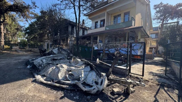 Çanakkale'de Orman Yangını Kontrol Altında: Yoğun Müdahale ve Son Durum