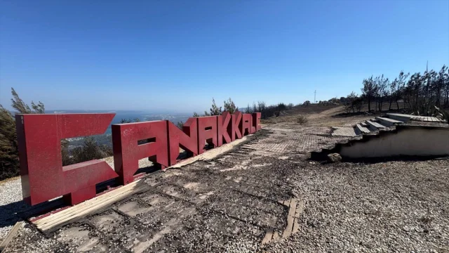 Çanakkale'de Orman Yangını Kontrol Altında: Yoğun Müdahale ve Son Durum