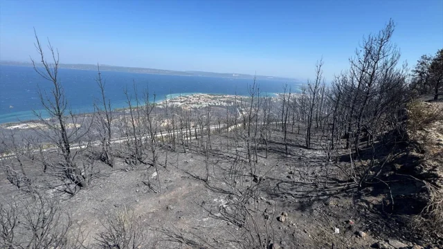 Çanakkale'de Orman Yangını Kontrol Altında: Yoğun Müdahale ve Son Durum