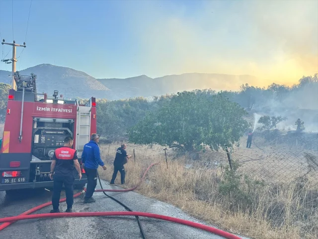 İzmir'in Dikili Kıyılarında Yangın Alarmı: Makilik Alanlar Tehdit Altında
