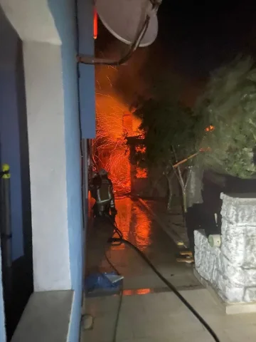 İzmir'in Dikili Kıyılarında Yangın Alarmı: Makilik Alanlar Tehdit Altında