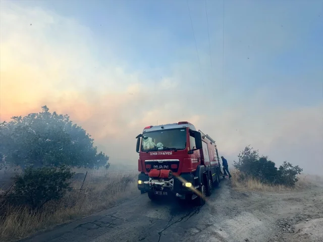 İzmir'in Dikili Kıyılarında Yangın Alarmı: Makilik Alanlar Tehdit Altında