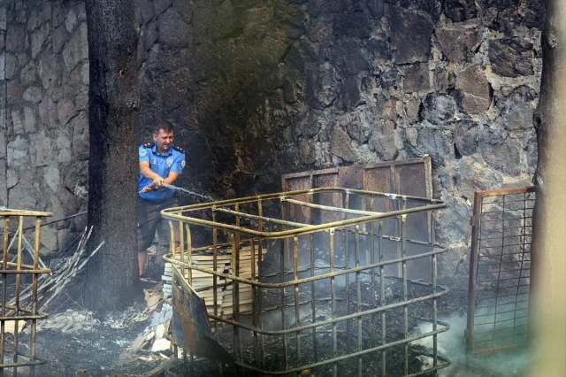 Çanakkale'deki Orman Yangınlarını Polis Teşkilatı da Söndürmeye Yardım Ediyor