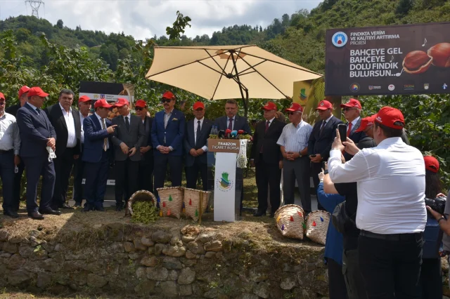 Trabzon'da Dünya Fındık Haftası Renkli Etkinliklerle Kutlandı