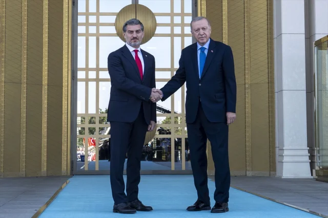 Cumhurbaşkanı Erdoğan ve Gürcistan Lideri Kavelashvili Ankara'da Buluştu