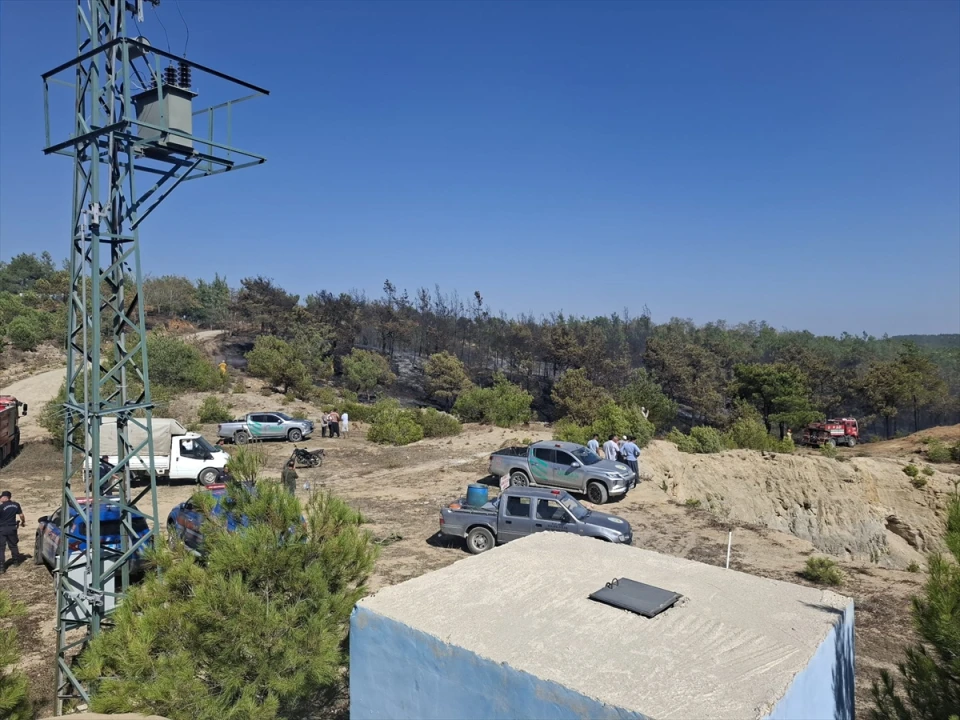 Adana'daki Orman Yangını Başarıyla Kontrol Altına Alındı