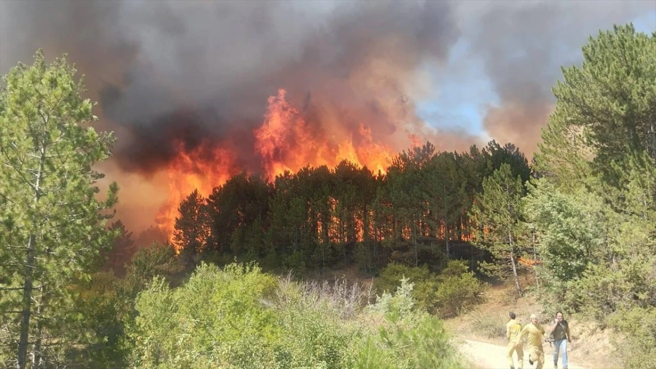 Uşak'ta Çıkan Orman Yangını Kontrol Altına Alındı