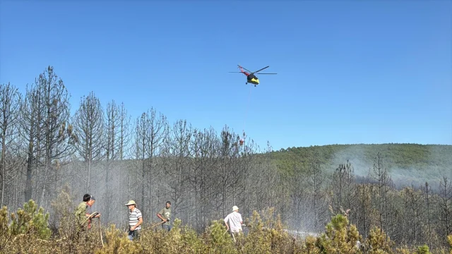 Uşak'ta Çıkan Orman Yangını Kontrol Altına Alındı