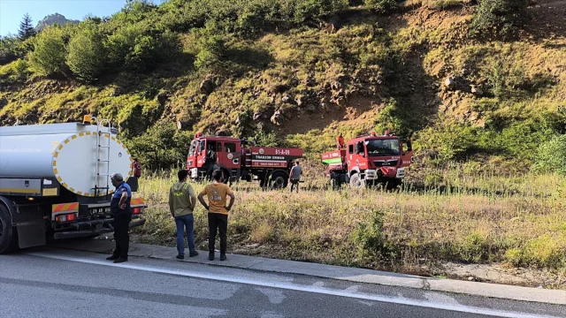 Gümüşhane'de Korkutan Yangın Söndürüldü – 15 Hektar Etkilendi