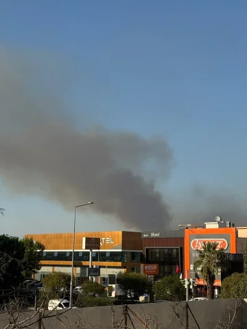 İzmir'in Buca İlçesinde Minibüs Yangını Ormana Sıçradı