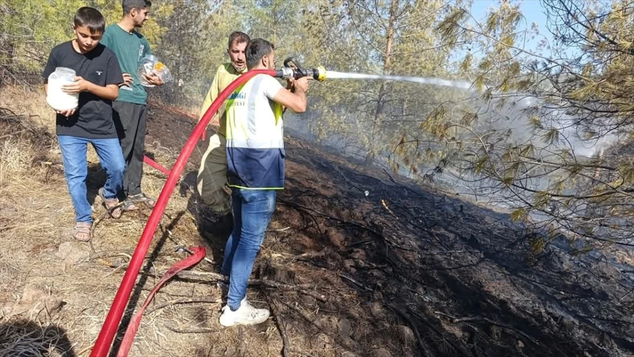 Gaziantep'te Orman Yangını Söndürüldü: 5 Hektar Zarar Gördü