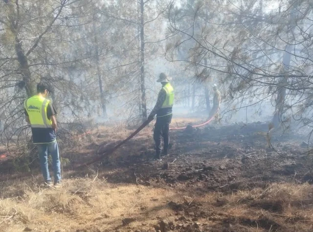 Gaziantep'te Orman Yangını Söndürüldü: 5 Hektar Zarar Gördü