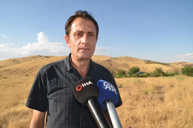 Leylekler Muş Ovası'ndan Afrika'ya Göç Hazırlığında