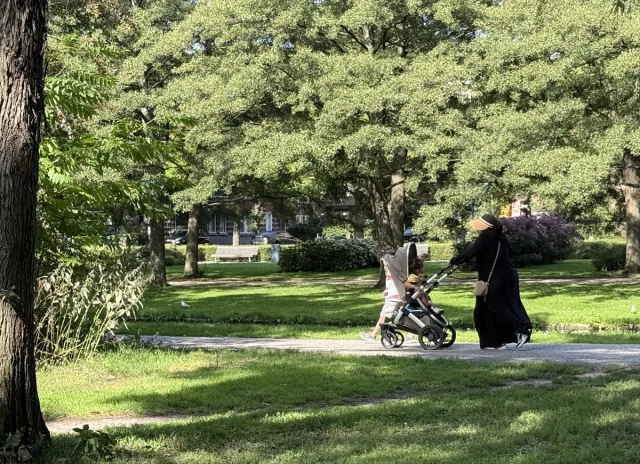 Hollanda'da Rekor Sıcaklıklar İçin Hazırlıklar Başladı