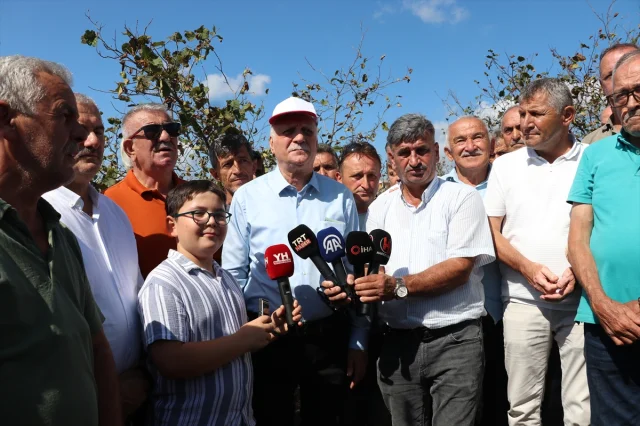 Fındık Üretiminde Kriz: Bayraktar'dan Sulama Uyarısı