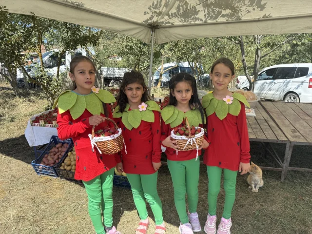 Alaçam'da Çilek Festivali Coşkusu Üretim Hedeflerini Büyütüyor
