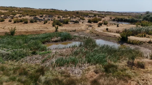 Kırklareli'nde Kuruyan Sazlık Göleti Alarm Veriyor