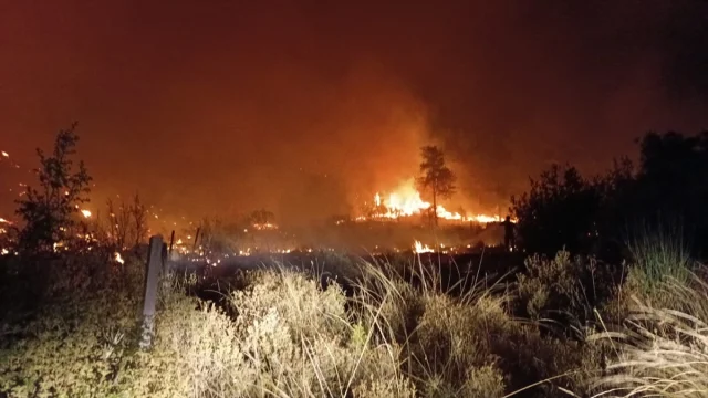 Antalya Serik'te Çıkan Yangın Kontrol Altına Alındı