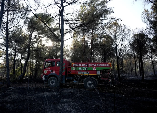 İzmir'de Mahalle Sakinleri Orman Yangınının Yol Açtığı Korku Dolu Anları Anlattı