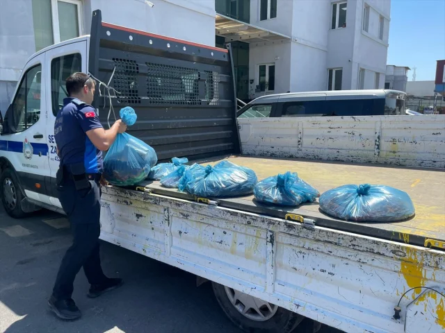 Adana'da Sağlıksız Ürün Operasyonu Kuru Yemişçide Çok Sayıda Ürün İmha Edildi