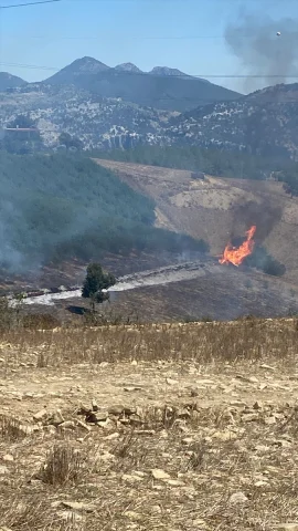 Adana Kozan'daki Orman Yangını İle Mücadelede Büyük Başarı