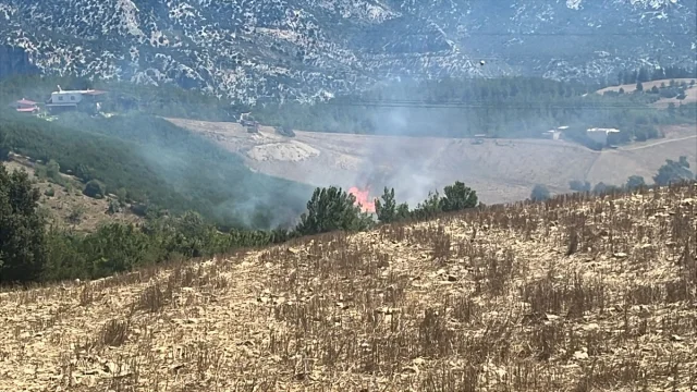 Adana Kozan'daki Orman Yangını İle Mücadelede Büyük Başarı