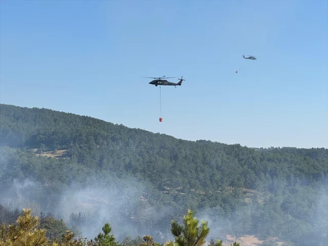 Uşak'ta Orman Yangını Söndürüldü Kahramanlar Destan Yazdı