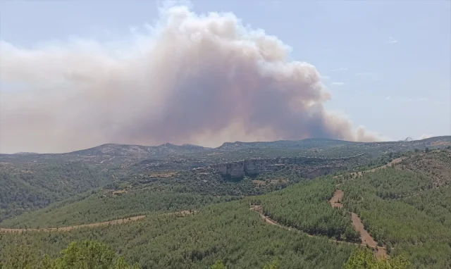 Mersin'in Silifke İlçesinde Orman Yangını Korkuttu