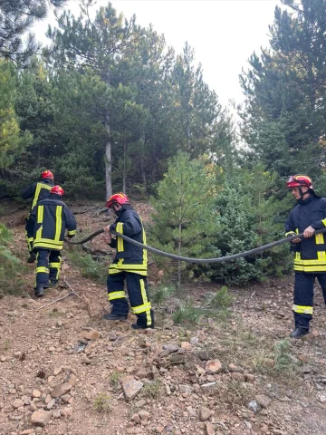 Arnavutluk'ta Orman Yangınlarına Karşı Yoğun Mücadele