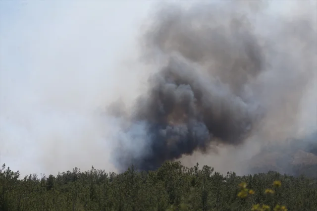 Çanakkale Orman Yangını Söndürülmeye Çalışılıyor